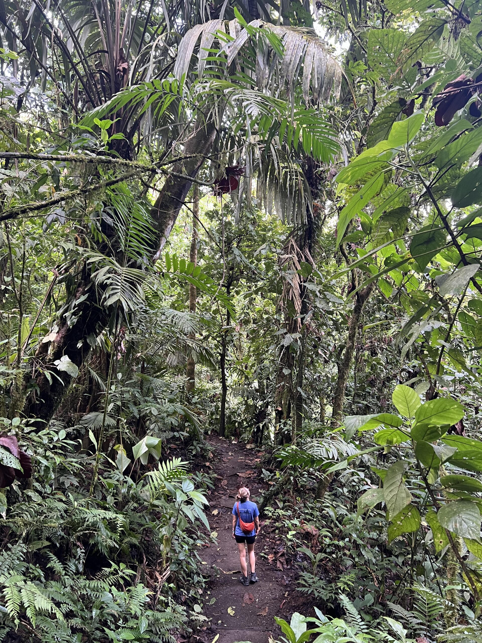 Costa Rica Arenal El Mirador de Silencio