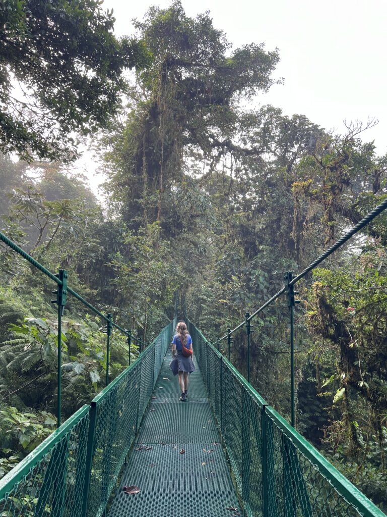 Selvatura Hanging Bridges Treetop Walk