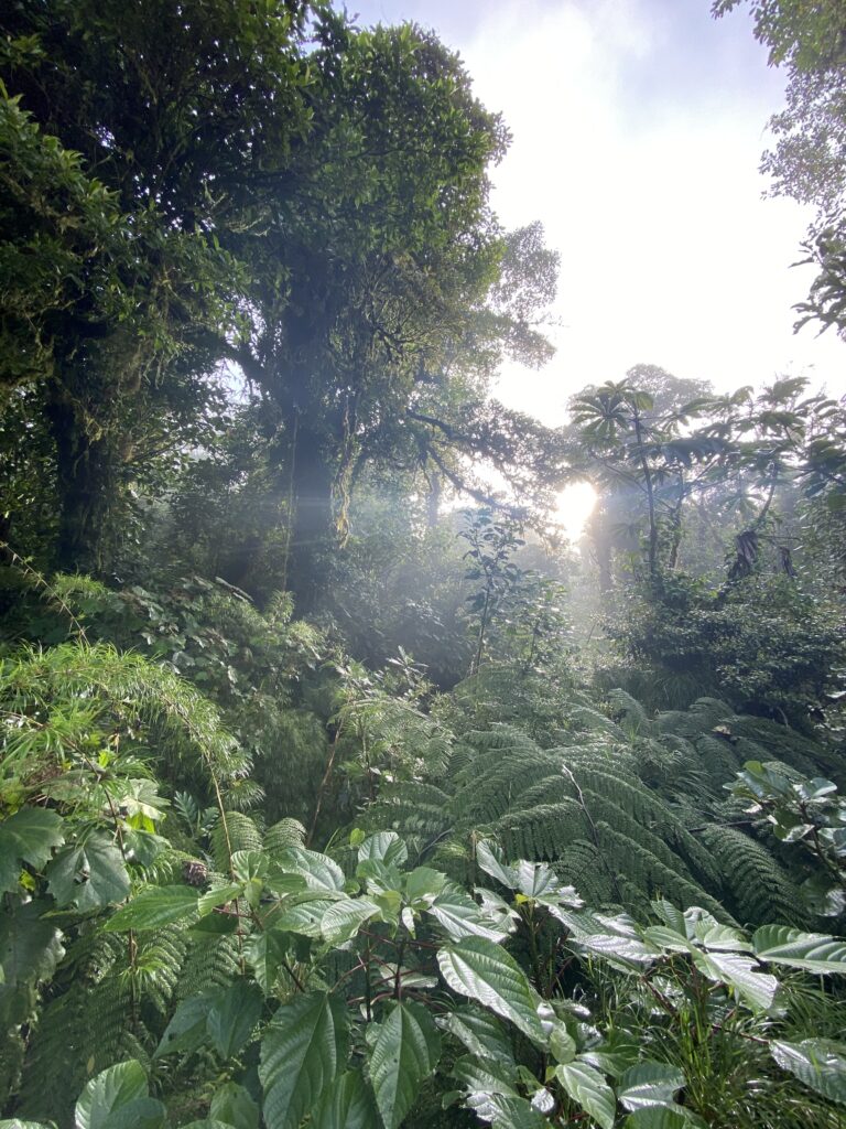 Monteverde Costa Rica Guide