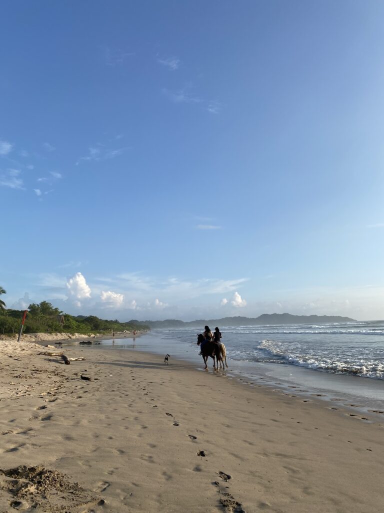 Playa Guiones Nosara Horse Riding